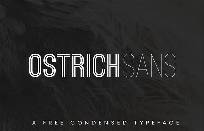 Ostrich Sans Font Family Free Download