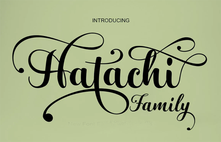 Hatachi Font Family Free Download