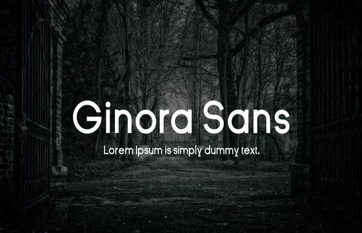 Ginora Sans Font Family Free Download