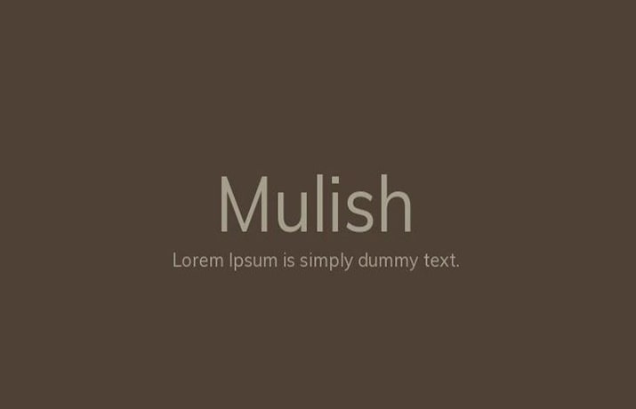 Mulish Font Free Download
