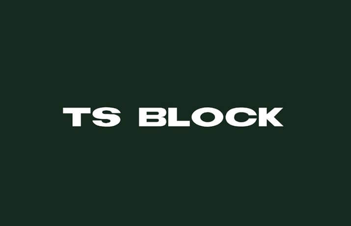 Ts Block Font Family Free Download