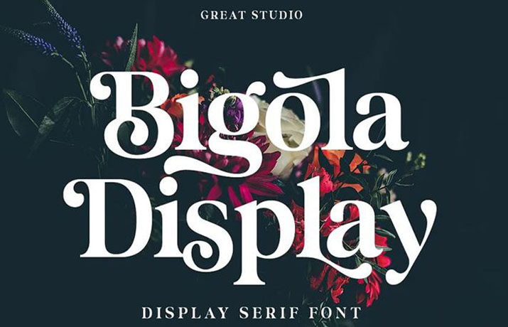 Bigola Display Regular Font Free Download