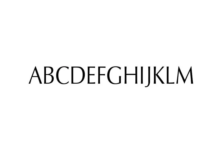 Iwata Souchou Pro Medium Font Family Download