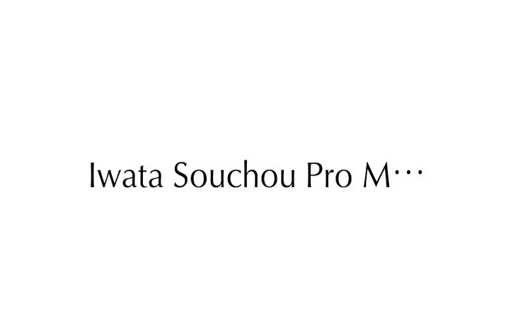 Iwata Souchou Pro Medium Font Family Free Download
