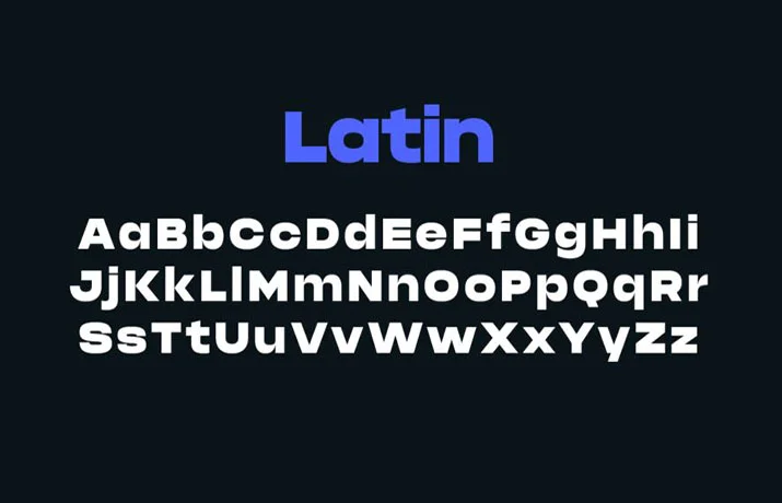 Phonk Font Family Download