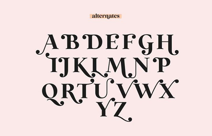 Wild Mango Font Family Download