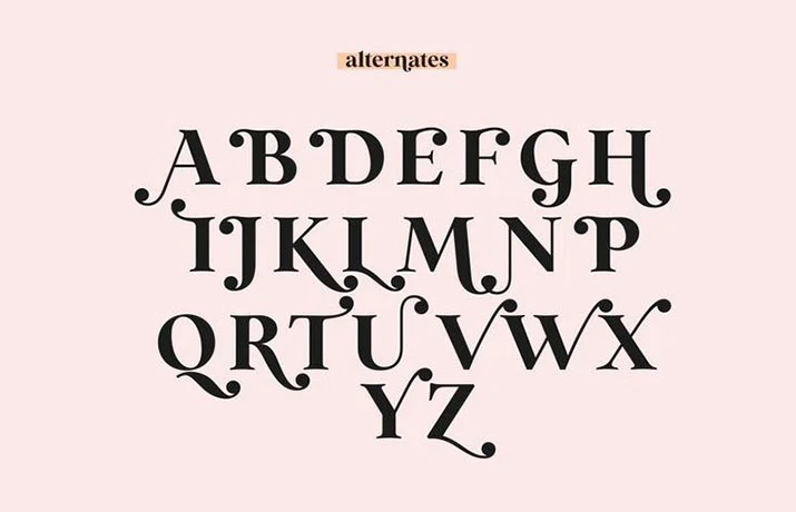 Wild Mango Font Family Download