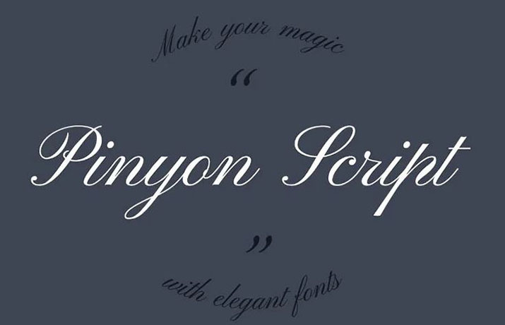 Pinyon Script Font Family Free Download