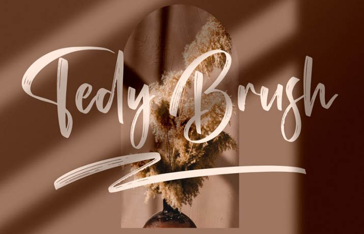 Tedy Brush Font Family Free Download