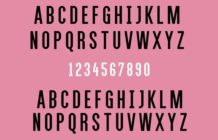 Alegre Sans Font Free Download